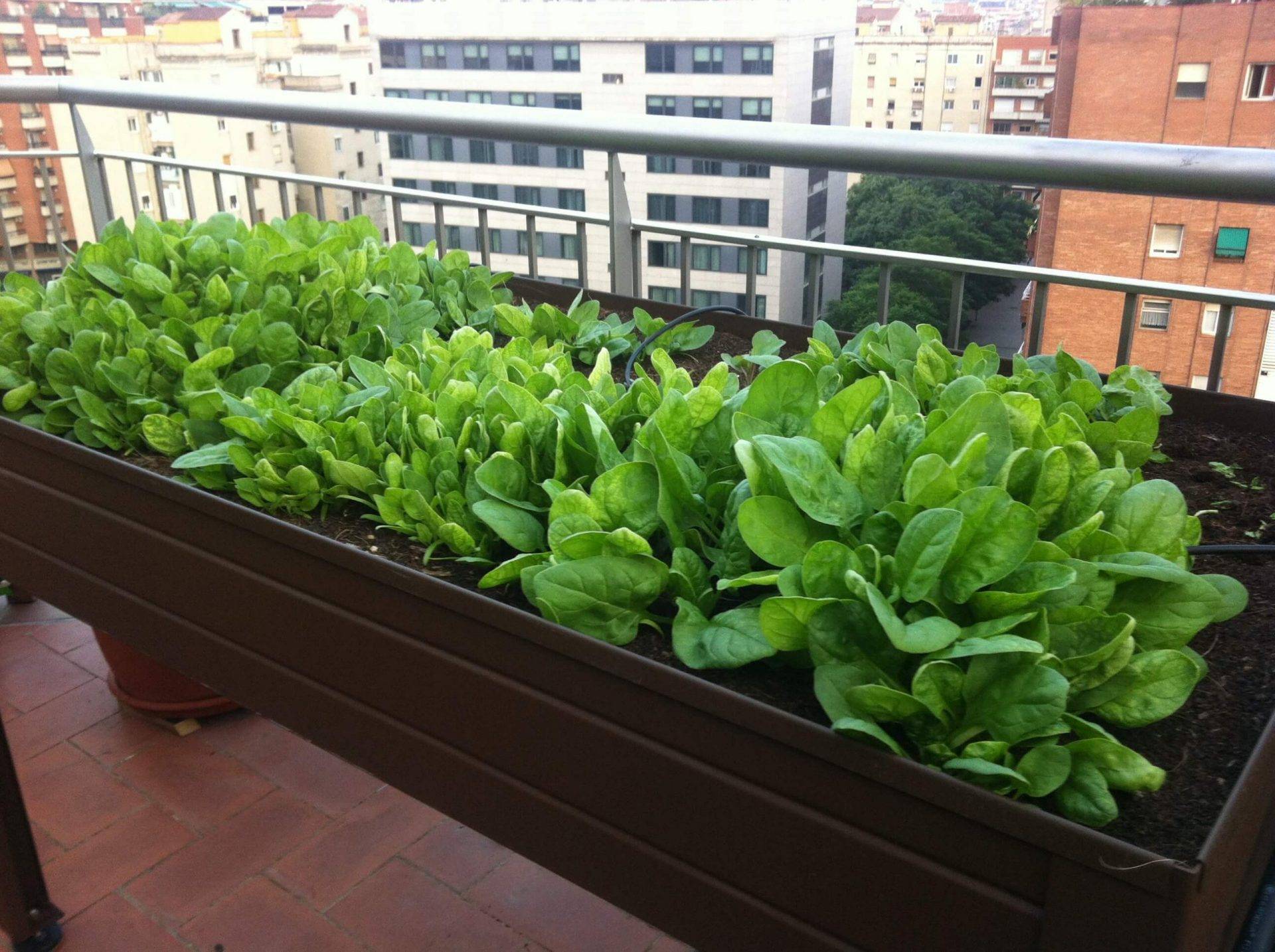 Mesas e Kits de Cultivo